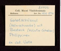 Etikett zu Salatschüssel mit Besteck  (NHMW-ZOO-MO-0081100-ETH-106)